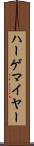 ハーゲマイヤー Scroll