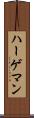 ハーゲマン Scroll