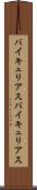バイキュリアス Scroll
