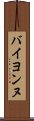 バイヨンヌ Scroll