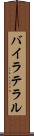 バイラテラル Scroll