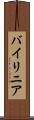 バイリニア Scroll
