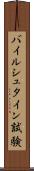 バイルシュタイン試験 Scroll