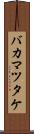 バカマツタケ Scroll