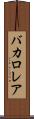 バカロレア Scroll