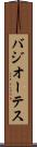 バジオーテス Scroll