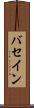 バセイン Scroll