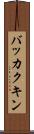 バッカクキン Scroll