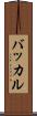 バッカル Scroll