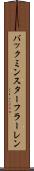 バックミンスターフラーレン Scroll