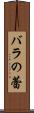 バラの蕾 Scroll