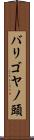 バリゴヤノ頭 Scroll