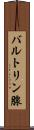 バルトリン腺 Scroll