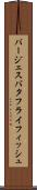 バージェスバタフライフィッシュ Scroll