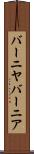バーニヤ Scroll