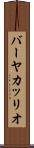 バーヤカッリオ Scroll