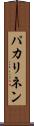 パカリネン Scroll
