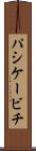 パシケービチ Scroll