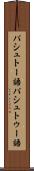 パシュトー語 Scroll