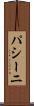パシーニ Scroll