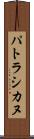 パトラシカヌ Scroll