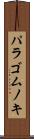 パラゴムノキ Scroll