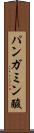 パンガミン酸 Scroll