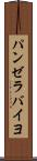 パンゼラバイヨ Scroll