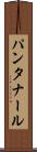 パンタナール Scroll