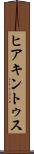ヒアキントゥス Scroll