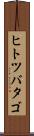 ヒトツバタゴ Scroll