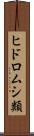 ヒドロムシ類 Scroll