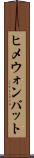 ヒメウォンバット Scroll