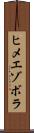 ヒメエゾボラ Scroll