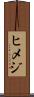 ヒメジ Scroll