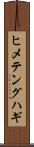 ヒメテングハギ Scroll