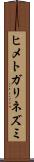 ヒメトガリネズミ Scroll