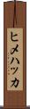 ヒメハッカ Scroll