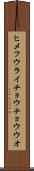 ヒメフウライチョウチョウウオ Scroll