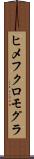 ヒメフクロモグラ Scroll