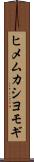 ヒメムカシヨモギ Scroll