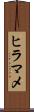 ヒラマメ Scroll