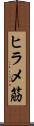 ヒラメ筋 Scroll