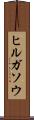 ヒルガソウ Scroll