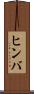 ヒンバ Scroll