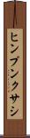 ヒンプンクサシ Scroll