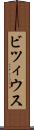 ビツィウス Scroll