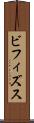 ビフィズス Scroll