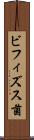 ビフィズス菌 Scroll