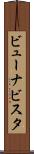 ビューナビスタ Scroll